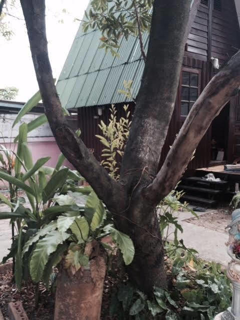 Bnr Resorts Bangkok Buitenkant foto